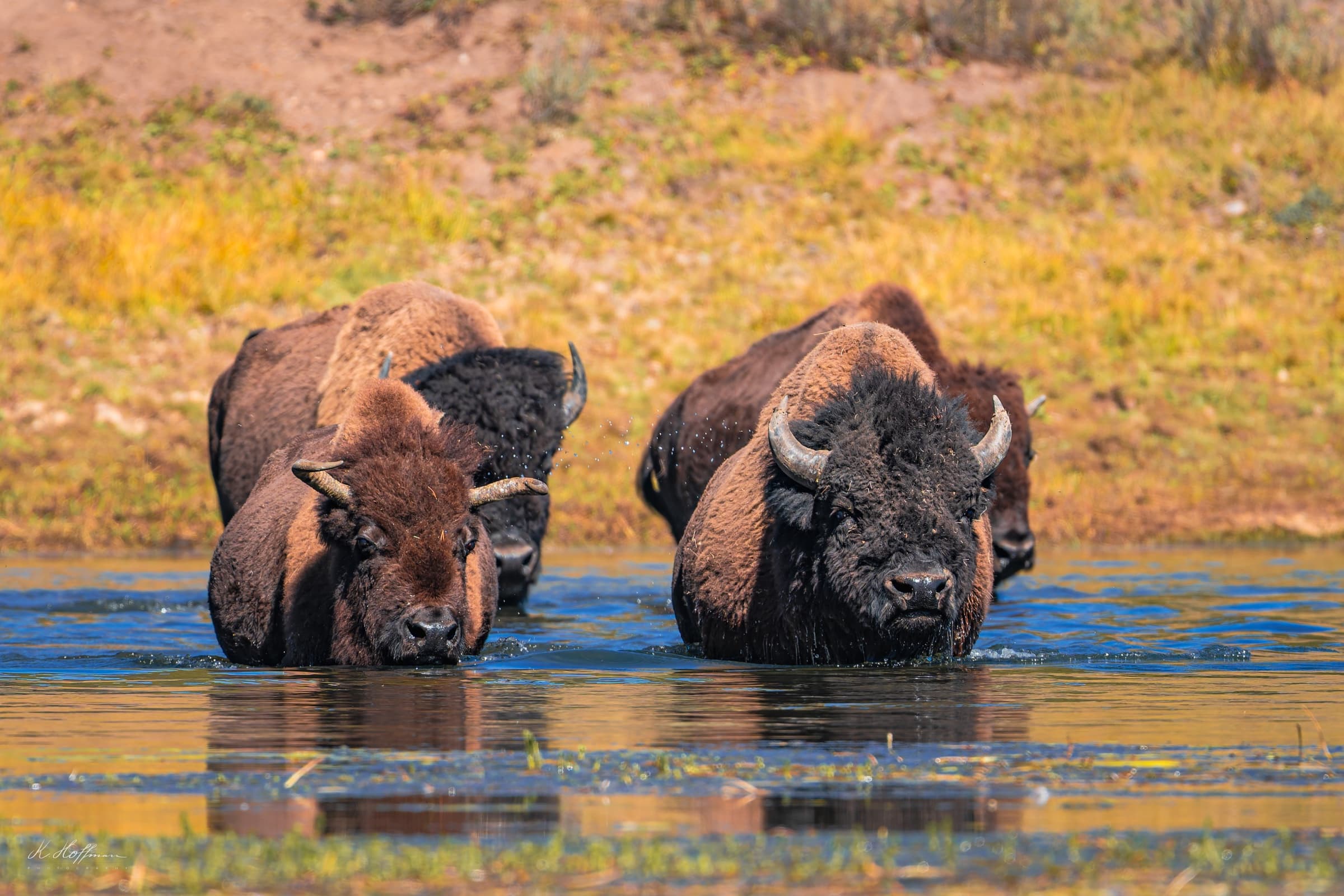 Vzhůru do vody