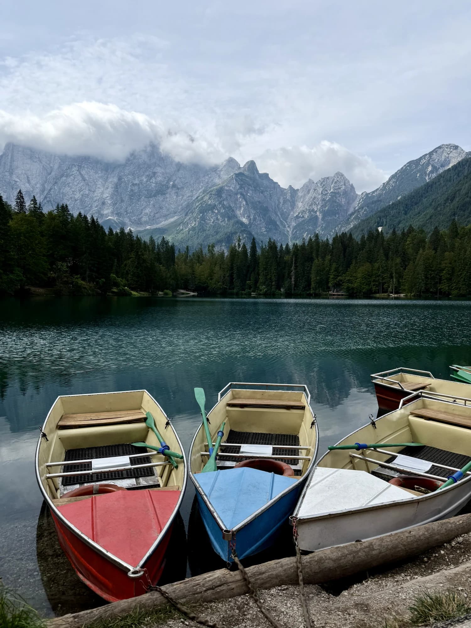 Referenční fotografie k obrazu Kde léto kotví
